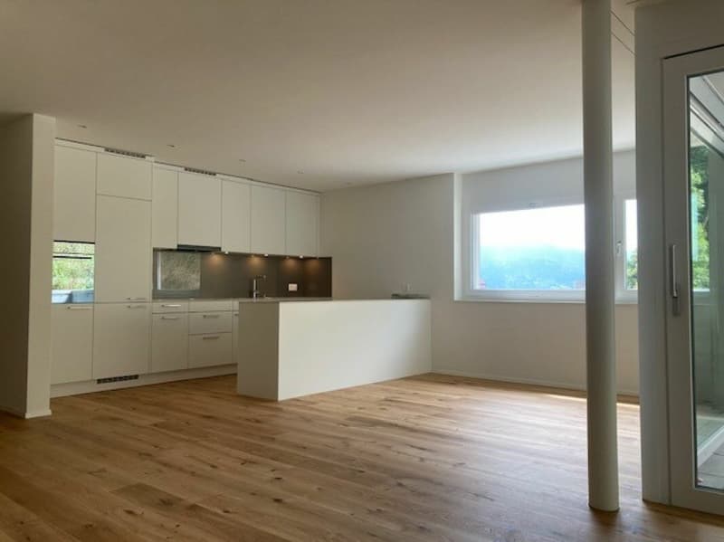 Grosszügige, helle 3.5 Zimmer-Eigentumswohnungen 132m2 im 1. OG (1)