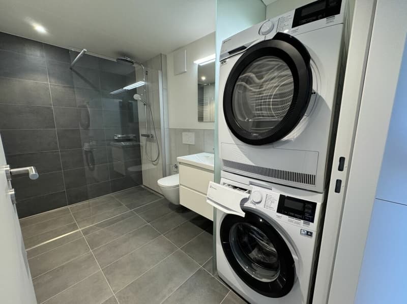 Attraktive 1.5 Attikawohnung mit Loggia (2)