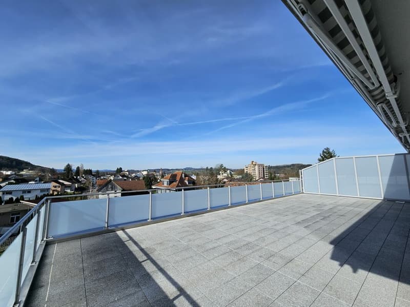 grosszügige 3.5 Zimmer-Attikawohnung (1)