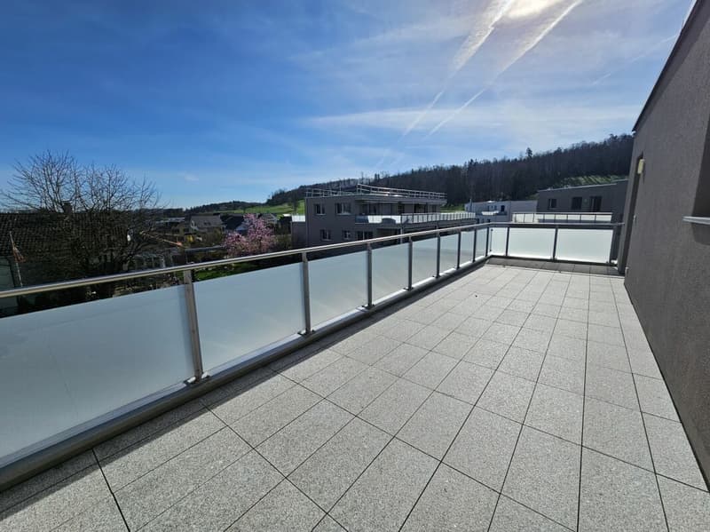 grosszügige 3.5 Zimmer-Attikawohnung (10)
