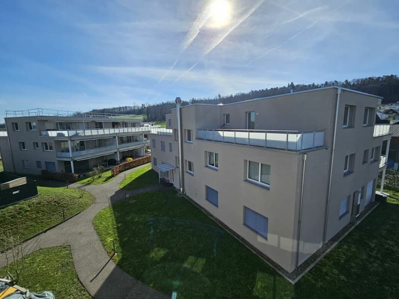 grosszügige 3.5 Zimmer-Attikawohnung (11)