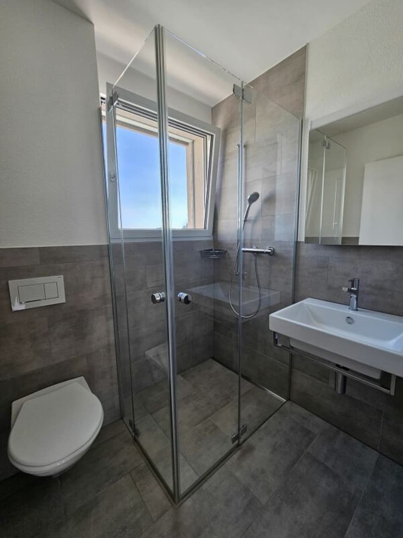 grosszügige 3.5 Zimmer-Attikawohnung (6)