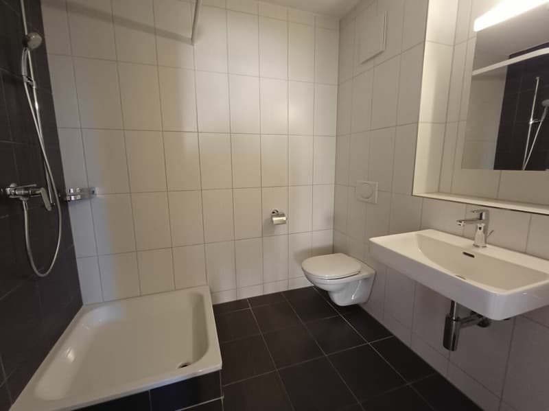 Attraktive 4.5 Zimmer-Wohnung im Erdgeschoss (5)