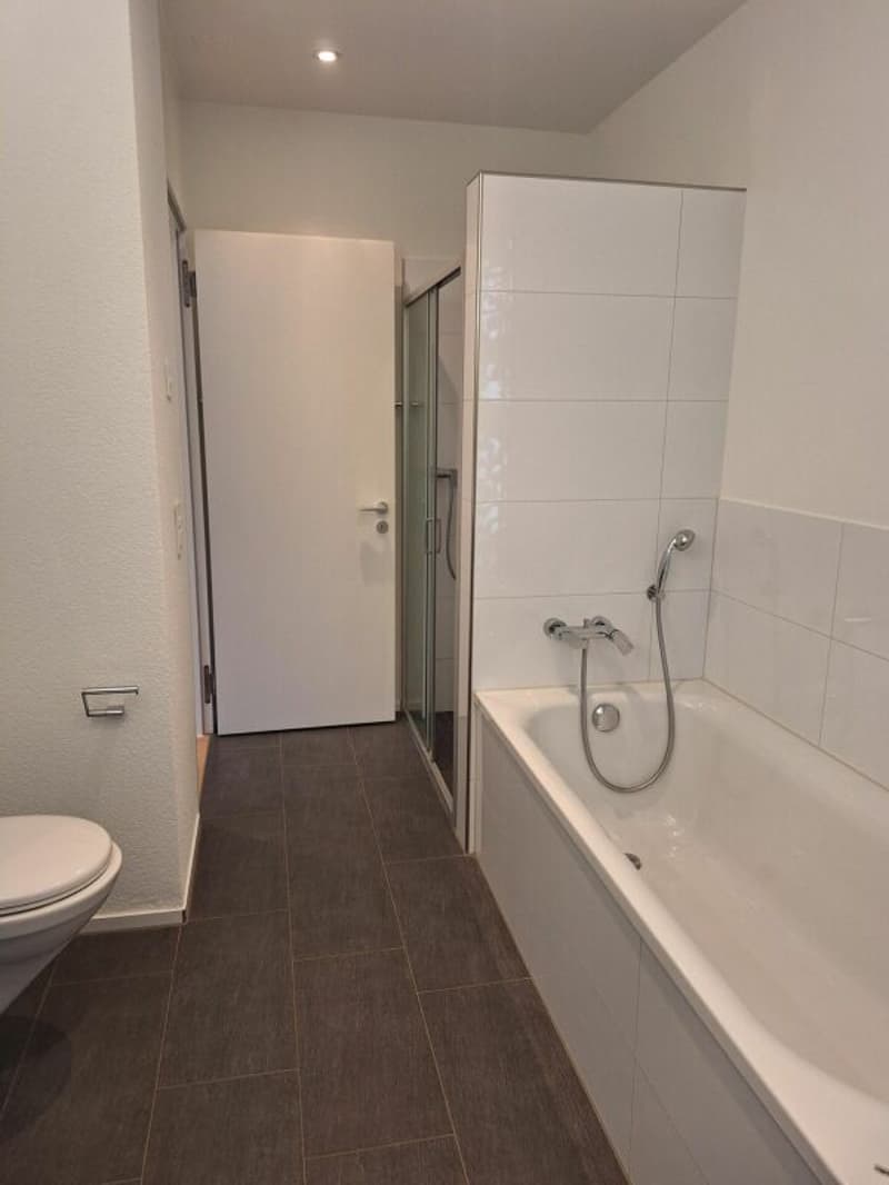 Grosszügige 3.5-Zimmer Sitzplatz-Wohnung (9)
