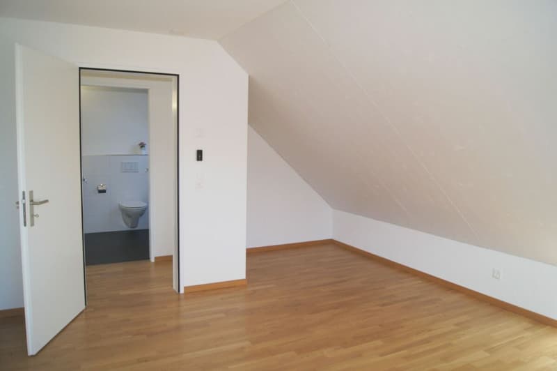 Traumhafte 4.5 Zimmer-Maisonette-Wohnung (6)