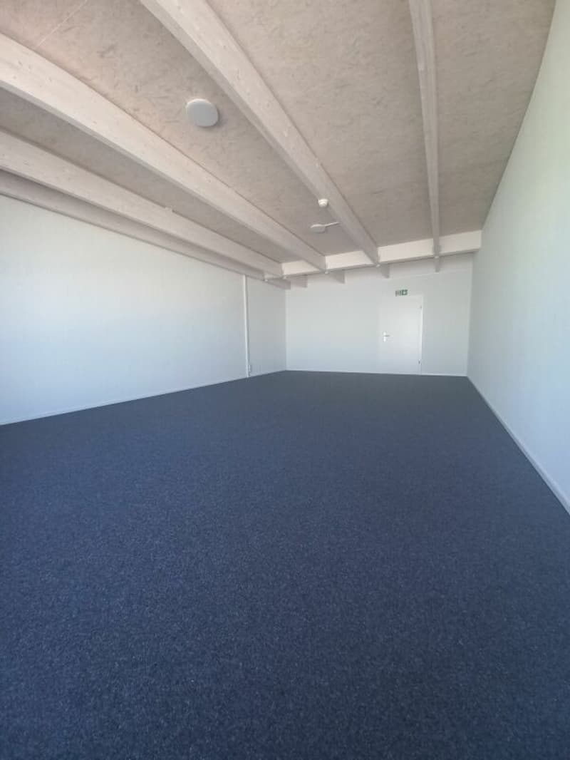 Gewerbefläche für tolle Projekte zu vermieten (1)