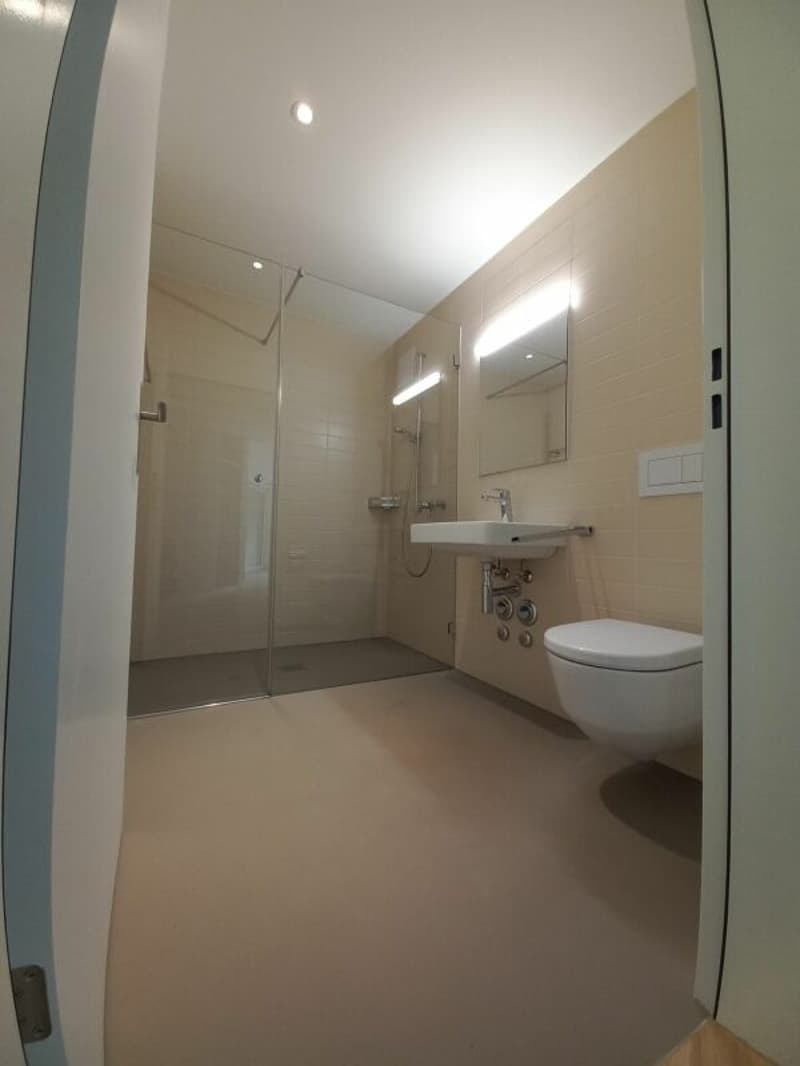 Grosszügige 3.5 Zimmerwohnung (3)