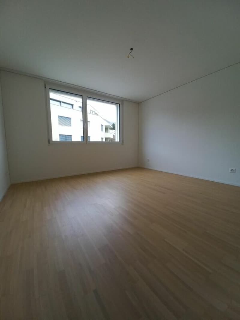 Grosszügige 3.5 Zimmerwohnung (5)
