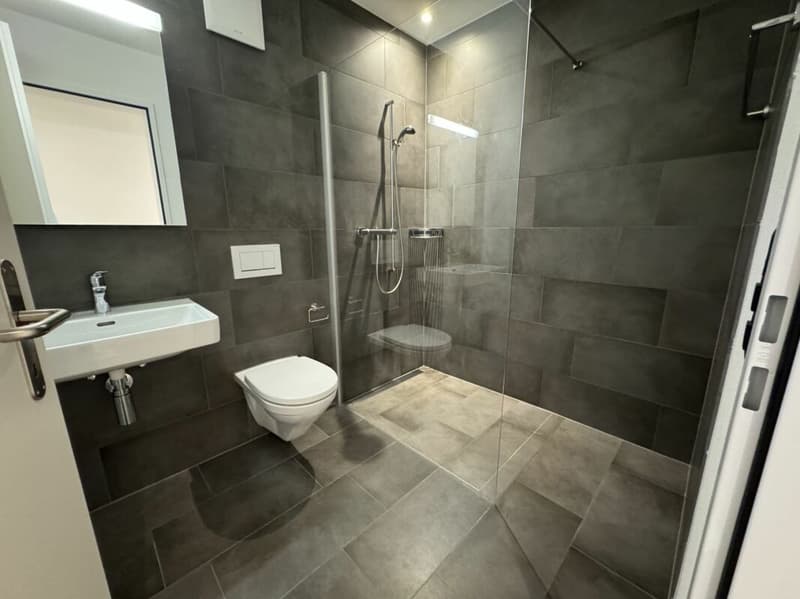 *helle und gut gelegene 3.5 Zimmerwohnung* (10)