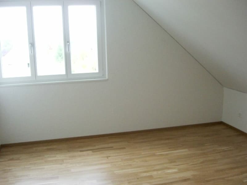 Traumhafte 4.5 Zimmer-Maisonette-Wohnung (7)