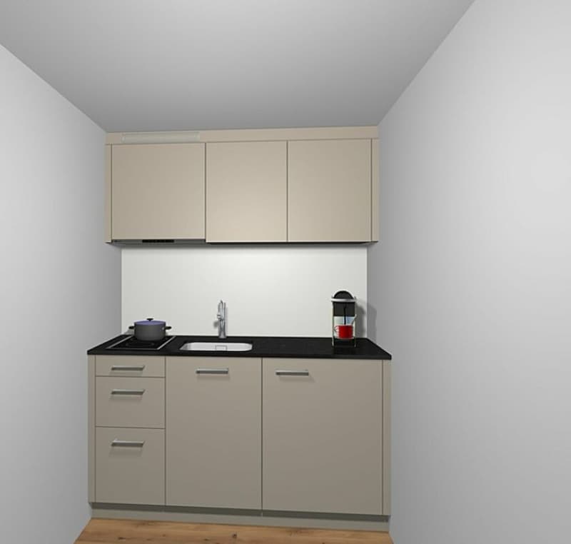 Affascinante appartamento monostanza a St. Gallen con cucina nuova (3)
