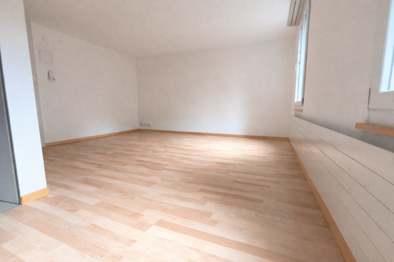 Affascinante appartamento monostanza a St. Gallen con cucina nuova (2)