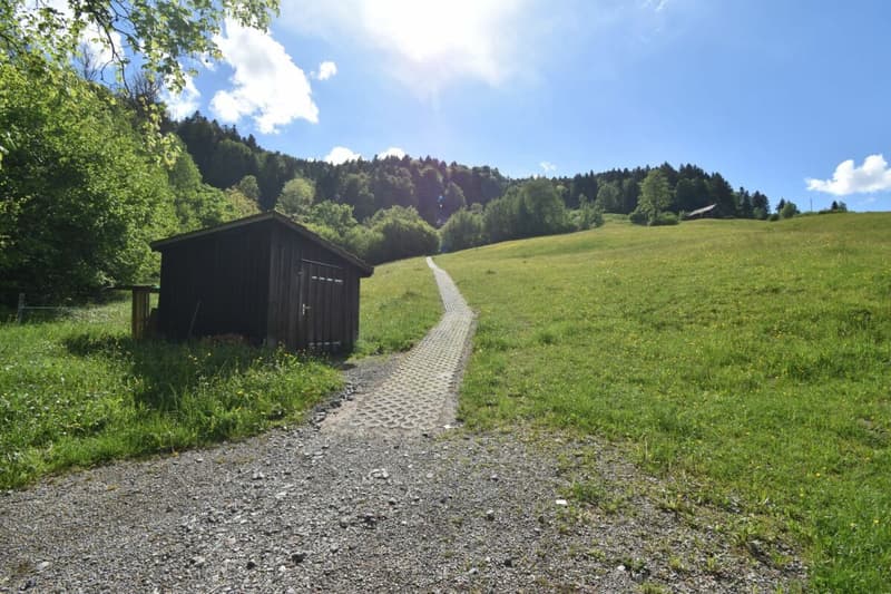Fussweg und Verlohütte