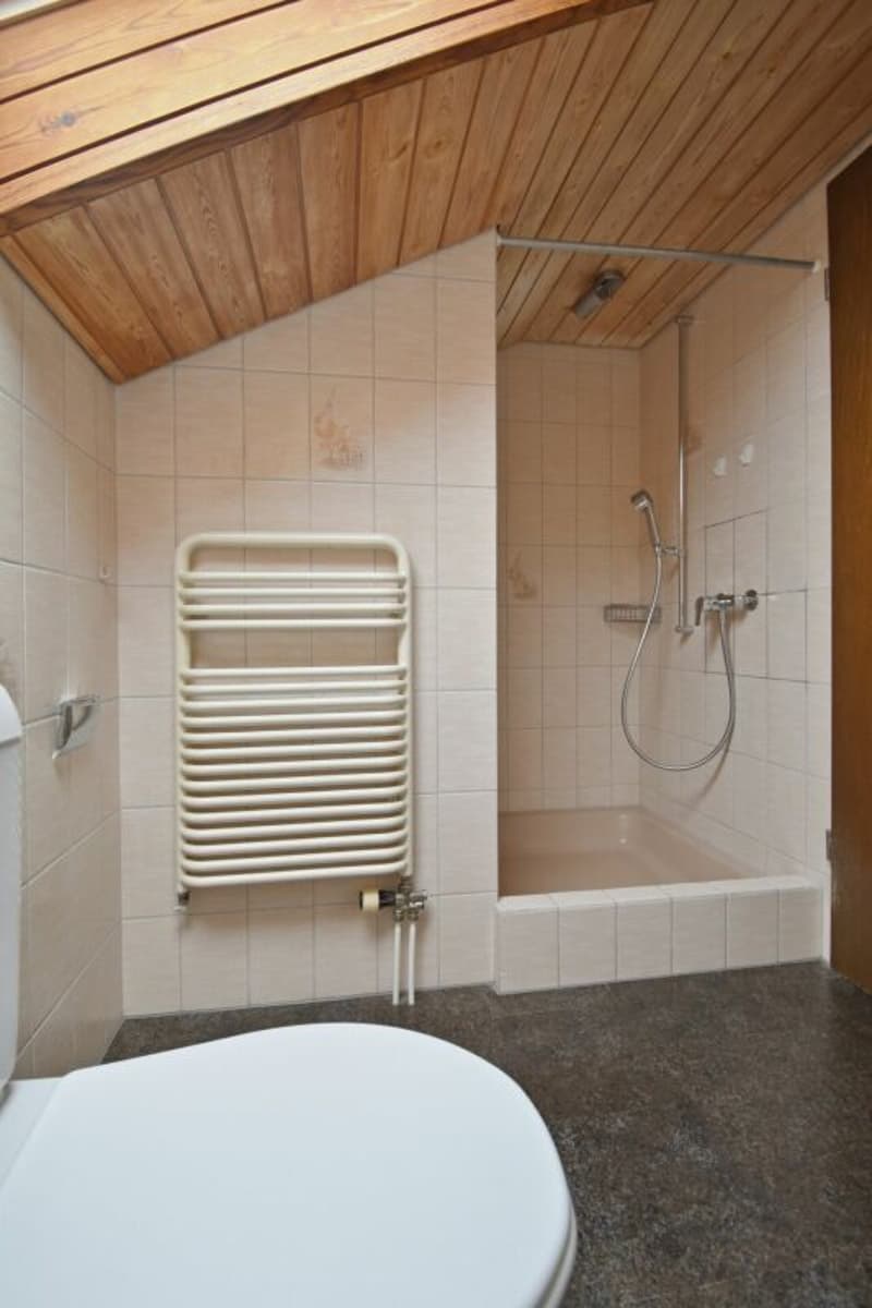 Bella e spaziosa appartamento 5 1/2 locali a duplex con camino (9)