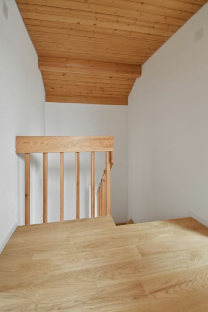 Bella e spaziosa appartamento 5 1/2 locali a duplex con camino (7)