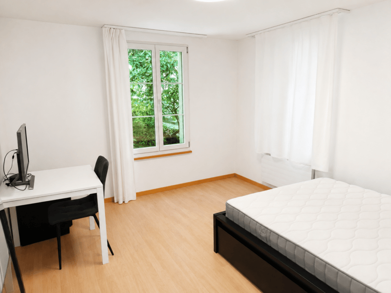 Appartamento di 4 locali in una zona tranquilla a St. Gallen (3)