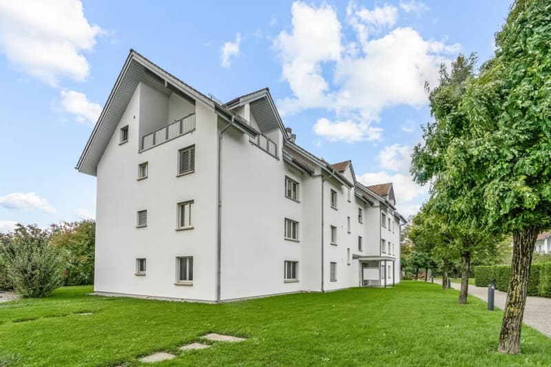 Teilsanierte 3.5-Zimmer-Dachwohnung mit 3 Balkonen (1)