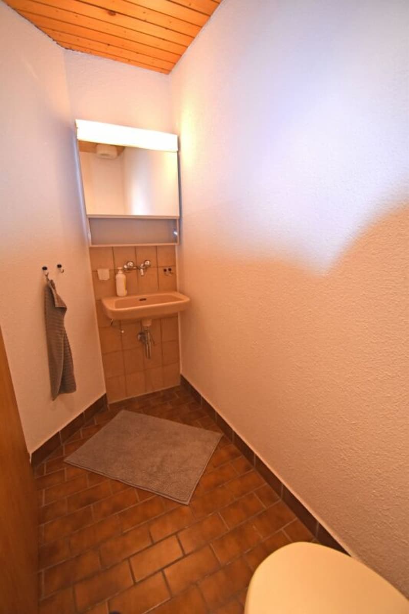 Appartement en mansarde de 2,5 pièces à Schwarzenbach (8)