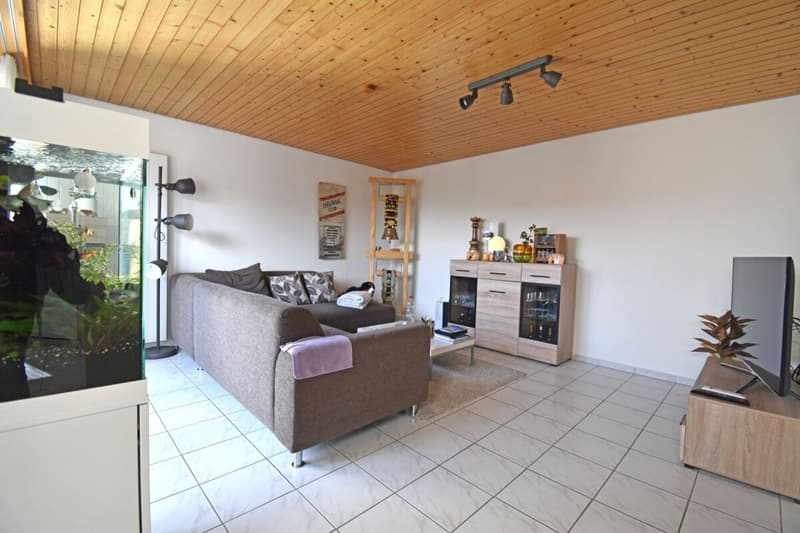 Appartement en mansarde de 2,5 pièces à Schwarzenbach (2)