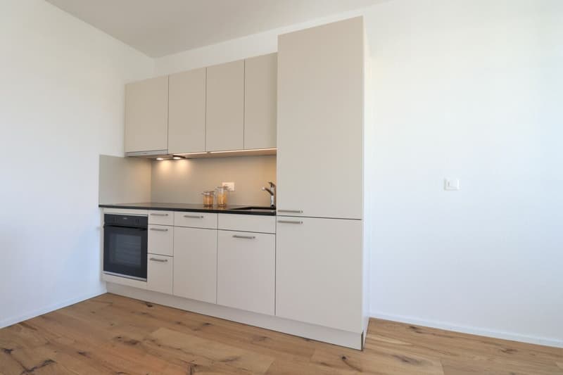 Appartement moderne de 2,5 pièces dans un quartier calme (2)
