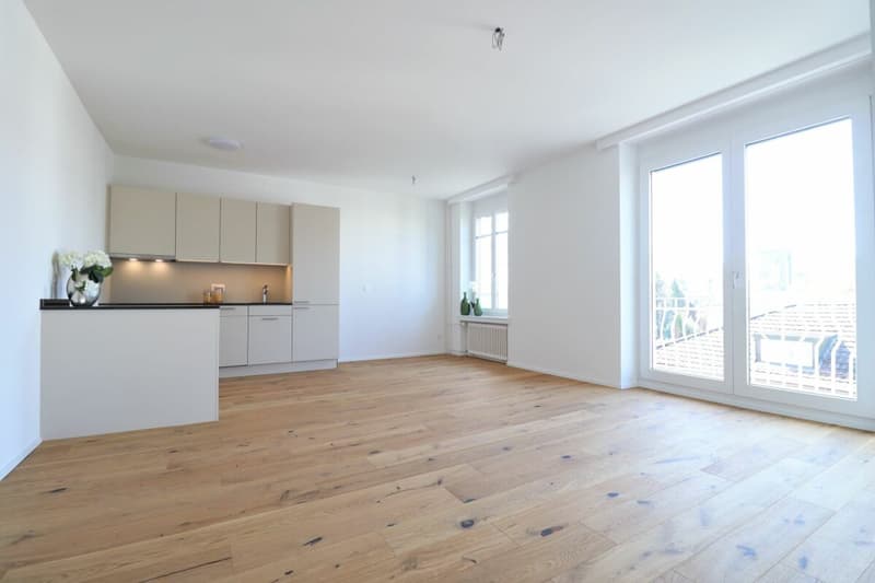 Appartement moderne de 2,5 pièces dans un quartier calme (1)