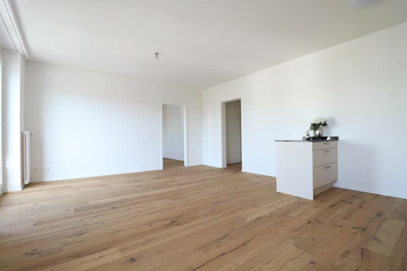 Appartement moderne de 2,5 pièces dans un quartier calme (3)