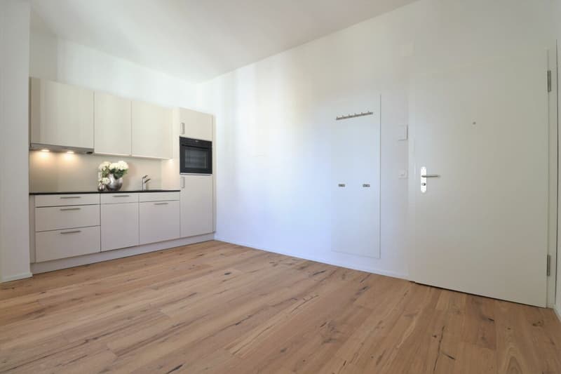 Subtenant wanted for modern 1.5 room apartment (4)