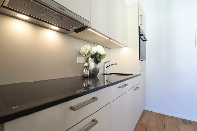 Subtenant wanted for modern 1.5 room apartment (3)