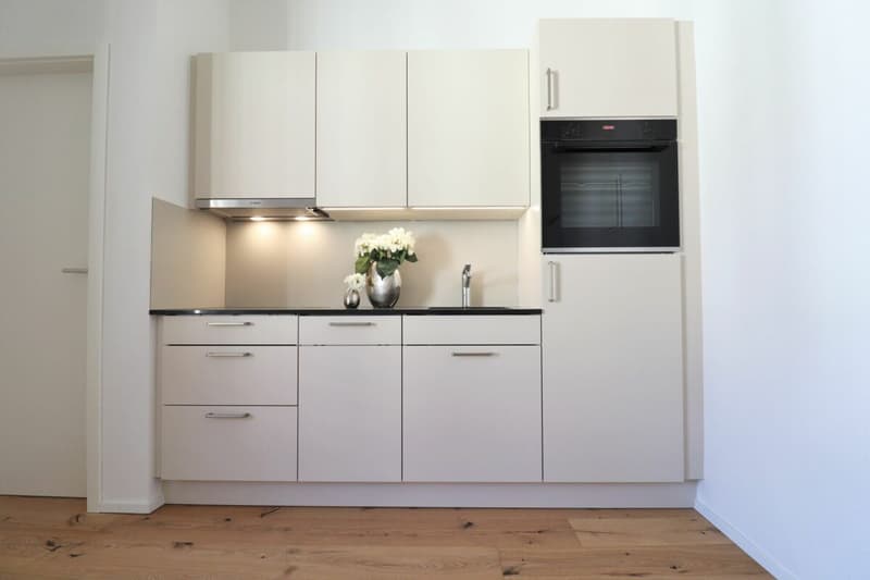 Subtenant wanted for modern 1.5 room apartment (2)