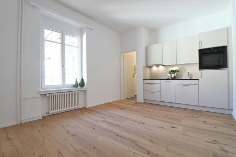 Subtenant wanted for modern 1.5 room apartment (1)