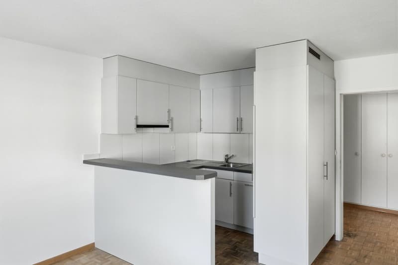 Bright 2.5-room apartment in a central location in St. Gallen (2)