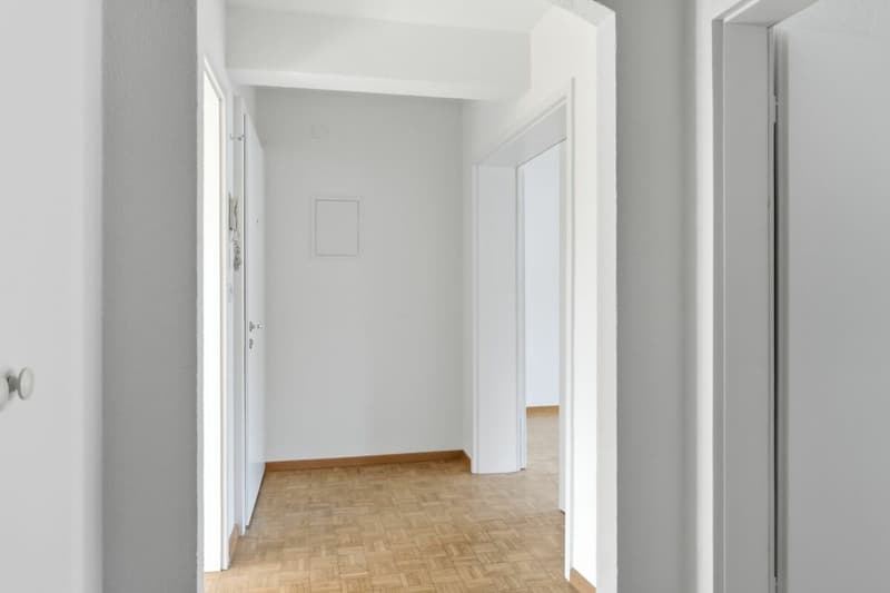 Bright 2.5-room apartment in a central location in St. Gallen (7)