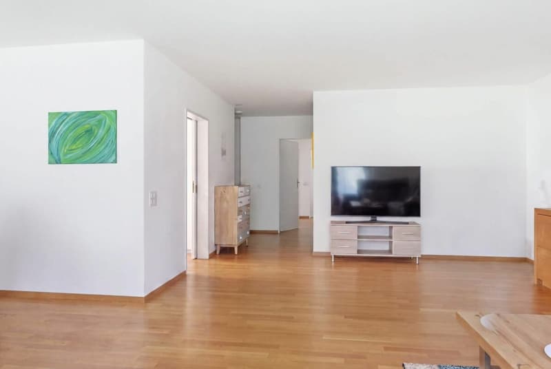 Appartement lumineux 4,5 pièces dans un quartier calme (3)