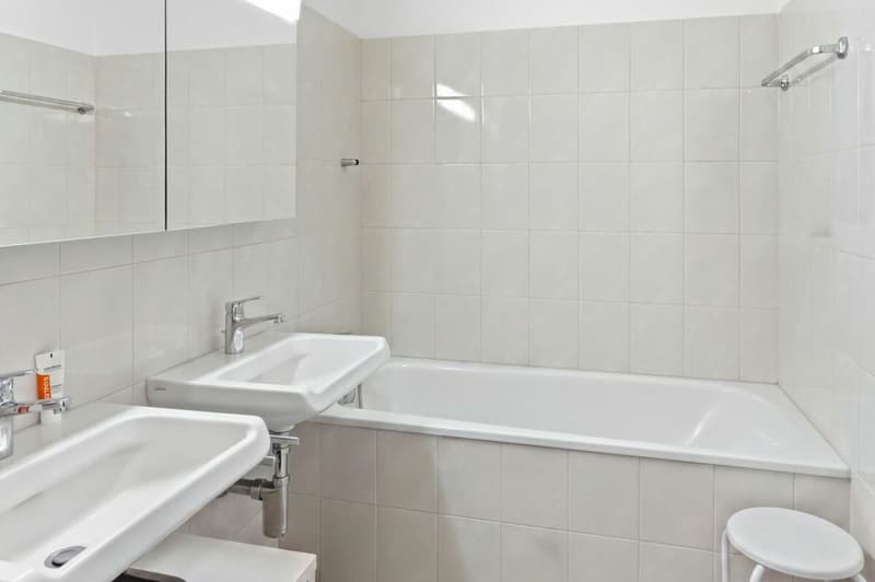 Appartement lumineux 4,5 pièces dans un quartier calme (7)