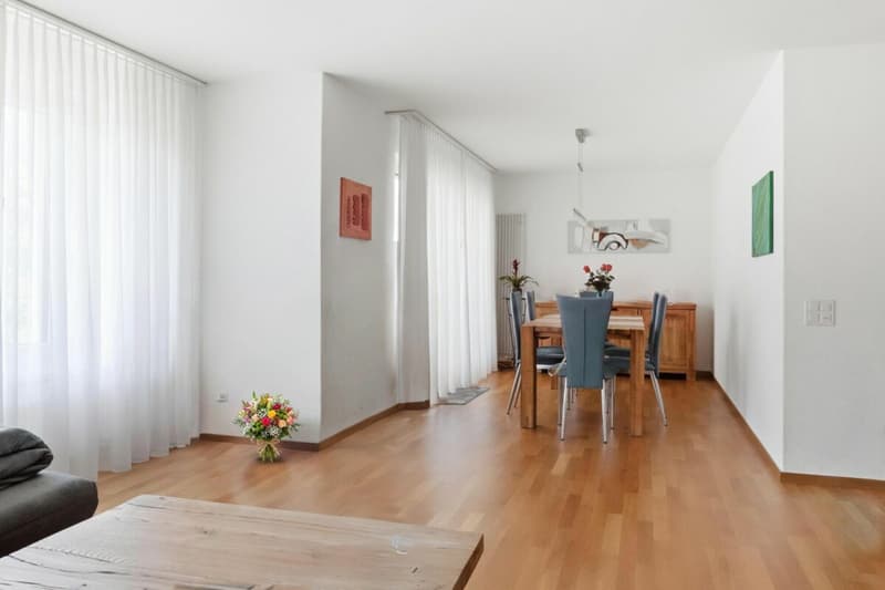 Appartement lumineux 4,5 pièces dans un quartier calme (2)
