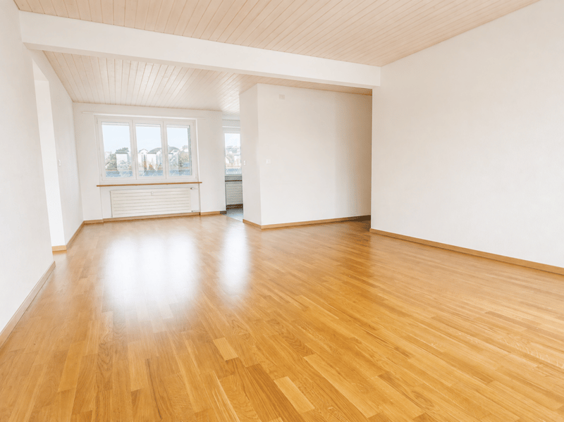 Ampio appartamento di 4.5 locali con grande balcone (2)