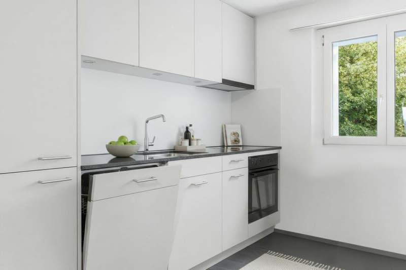 Frisch renovierte 3 1/2 ZWG, 1 Monat GRATIS (5)