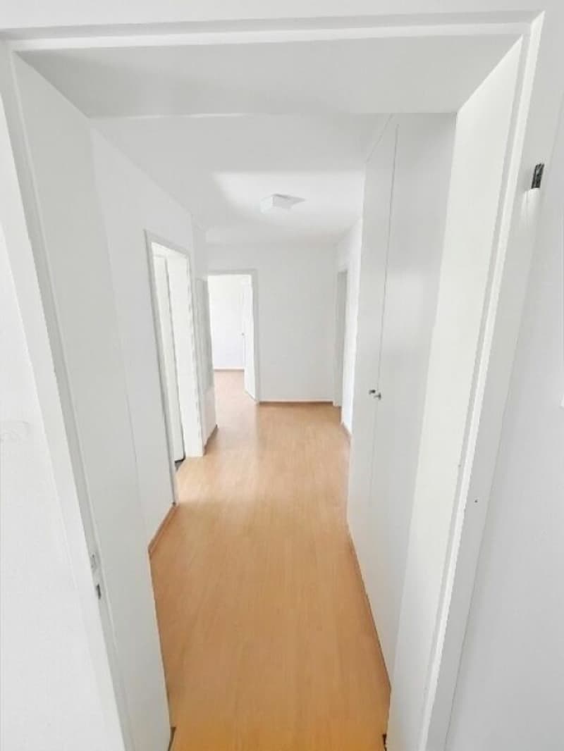 Geräumige 4.5 Zimmer-Wohnung an zentraler Lage (7)