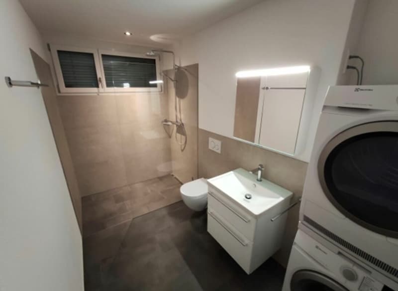 Moderne 2 ½-Zimmer-Wohnung mit grosszügigem Balkon und Abendsonne (7)