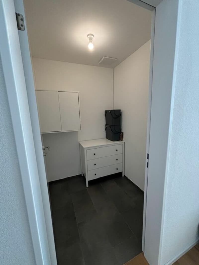 Moderne 2 ½-Zimmer-Wohnung mit grosszügigem Balkon und Abendsonne (4)