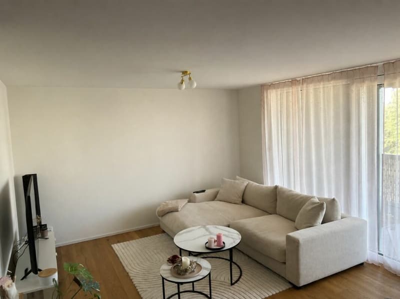 Moderne 2 ½-Zimmer-Wohnung mit grosszügigem Balkon und Abendsonne (2)
