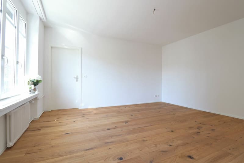 Moderne 2.5 Zimmer-Wohnung in ruhigem  Quartier (3)