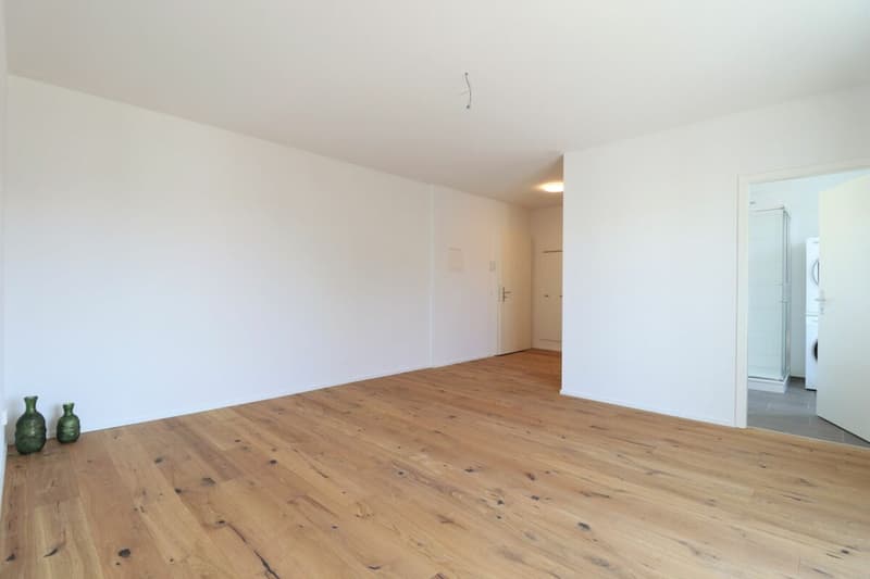 Moderne 2.5 Zimmer-Wohnung in ruhigem  Quartier (2)