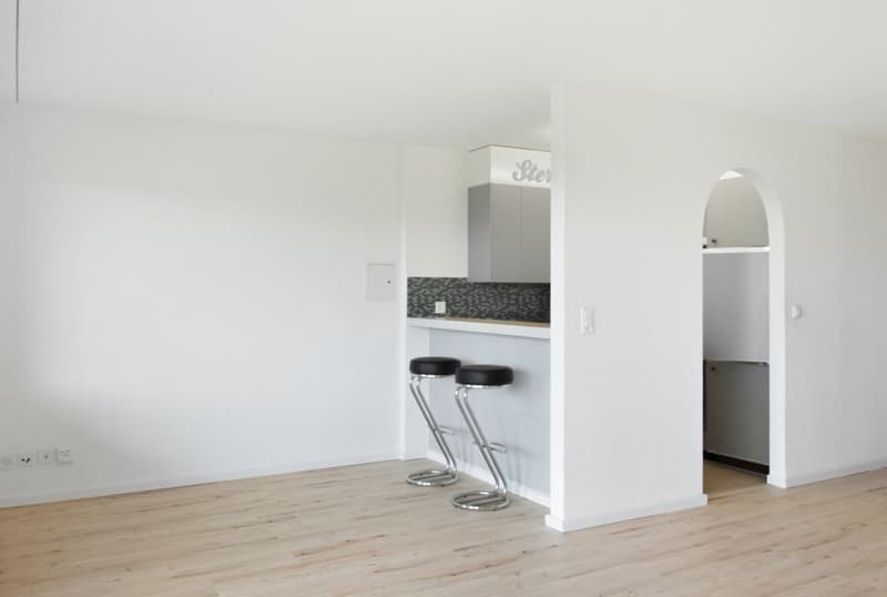 Attraktive teilsanierte 2.5-Zimmer-Wohnung mit Balkon (2)