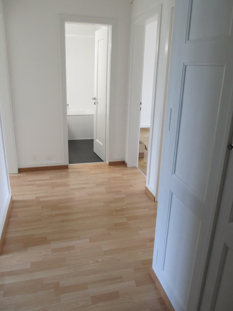 Charming 3.5-room apartment with balcony in Bern (6)