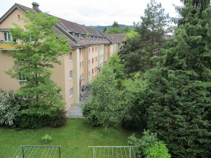 Charming 3.5-room apartment with balcony in Bern (11)