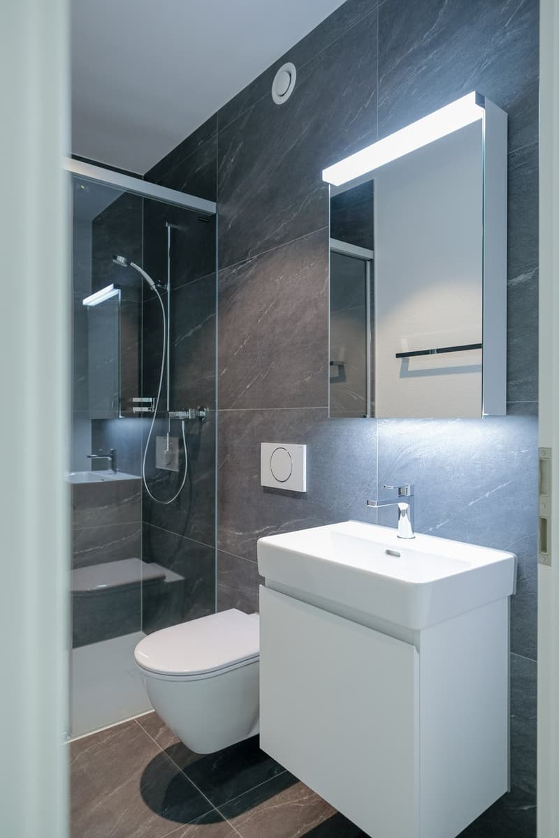 Appartement spacieux et moderne 4.5 pièces avec espace de jardin (9)