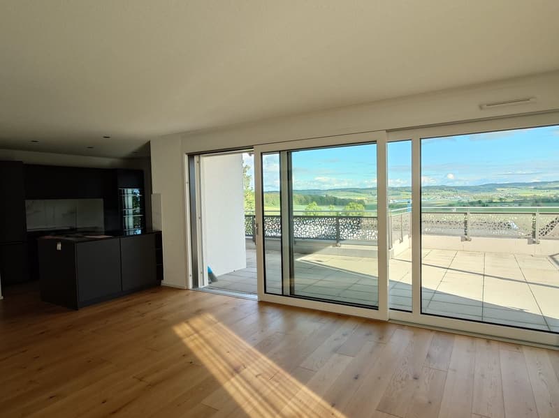 Attic apartment with a great view (2)