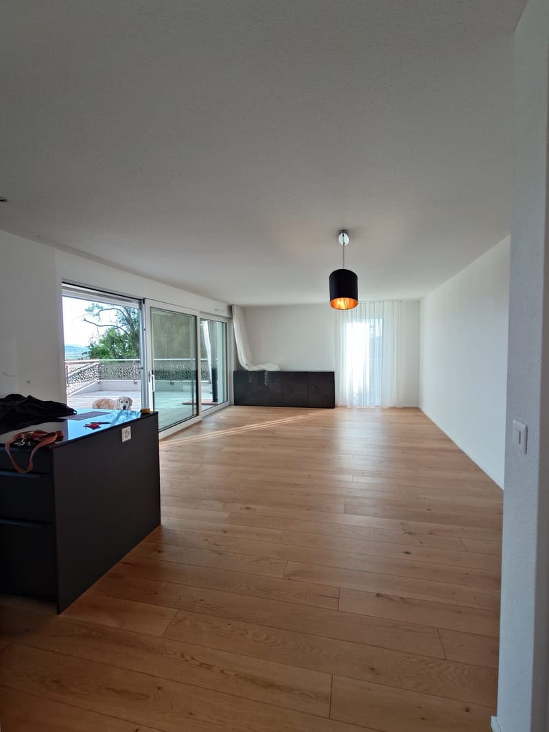 Attic apartment with a great view (3)