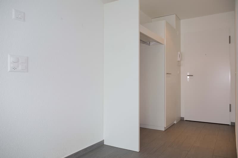 Appartamento luminoso 3,5 locali con ampio balcone (8)